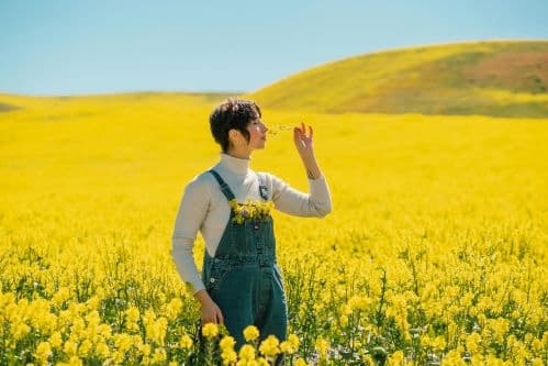 Why Spring Makes Us Want to Start Over
