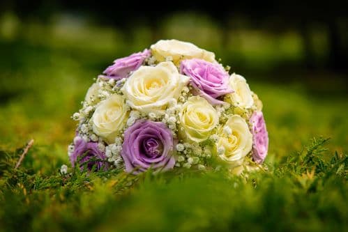 Flowers: The Hidden Language of Human Emotion