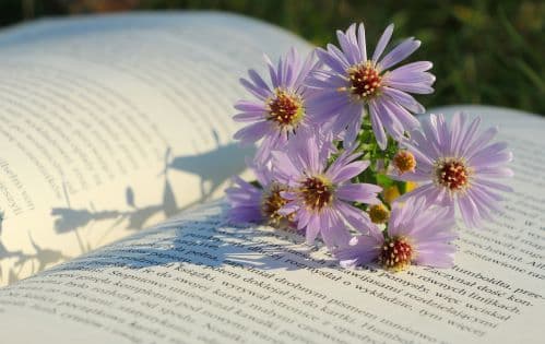 Spring as a Time of Hope in Literature