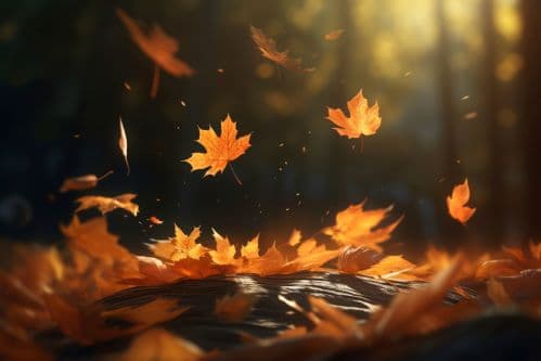 Why Leaves Fall: The Biological Processes Behind Nature’s Seasonal Cycle