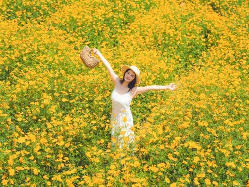 The Philosophy of Fullness in Nature During Summer