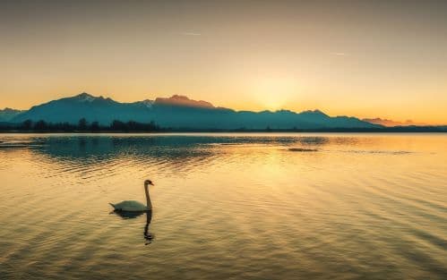 Why Summer Evenings Feel Relaxed?