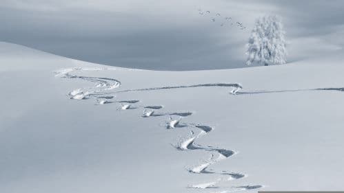 The Cultural Meaning of Snow